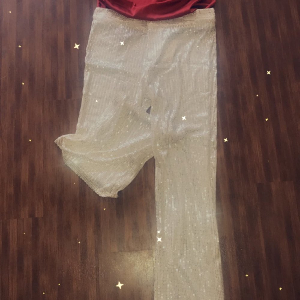 Sequin pants